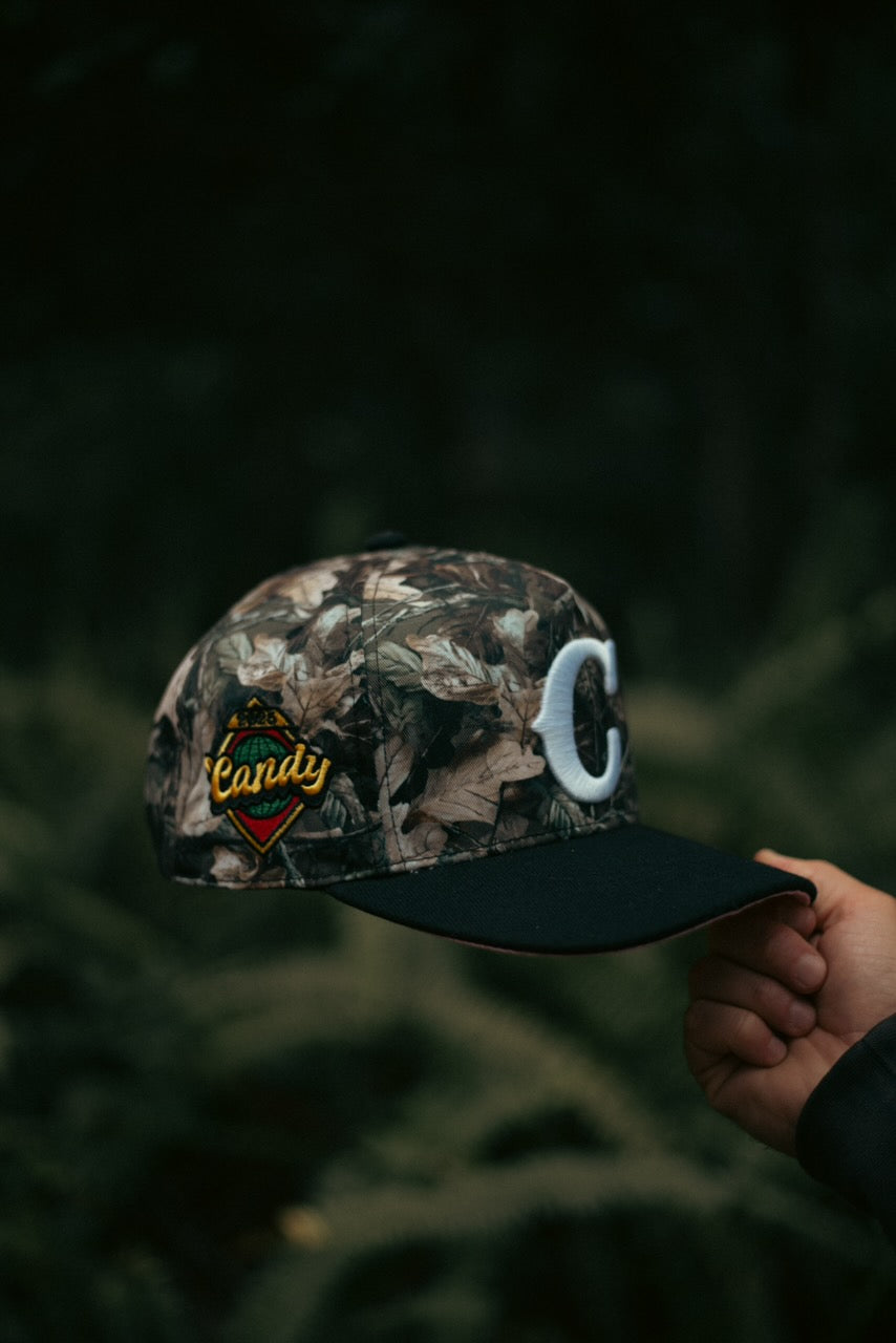 “THE WOODS” Candy Ball Camo Hat