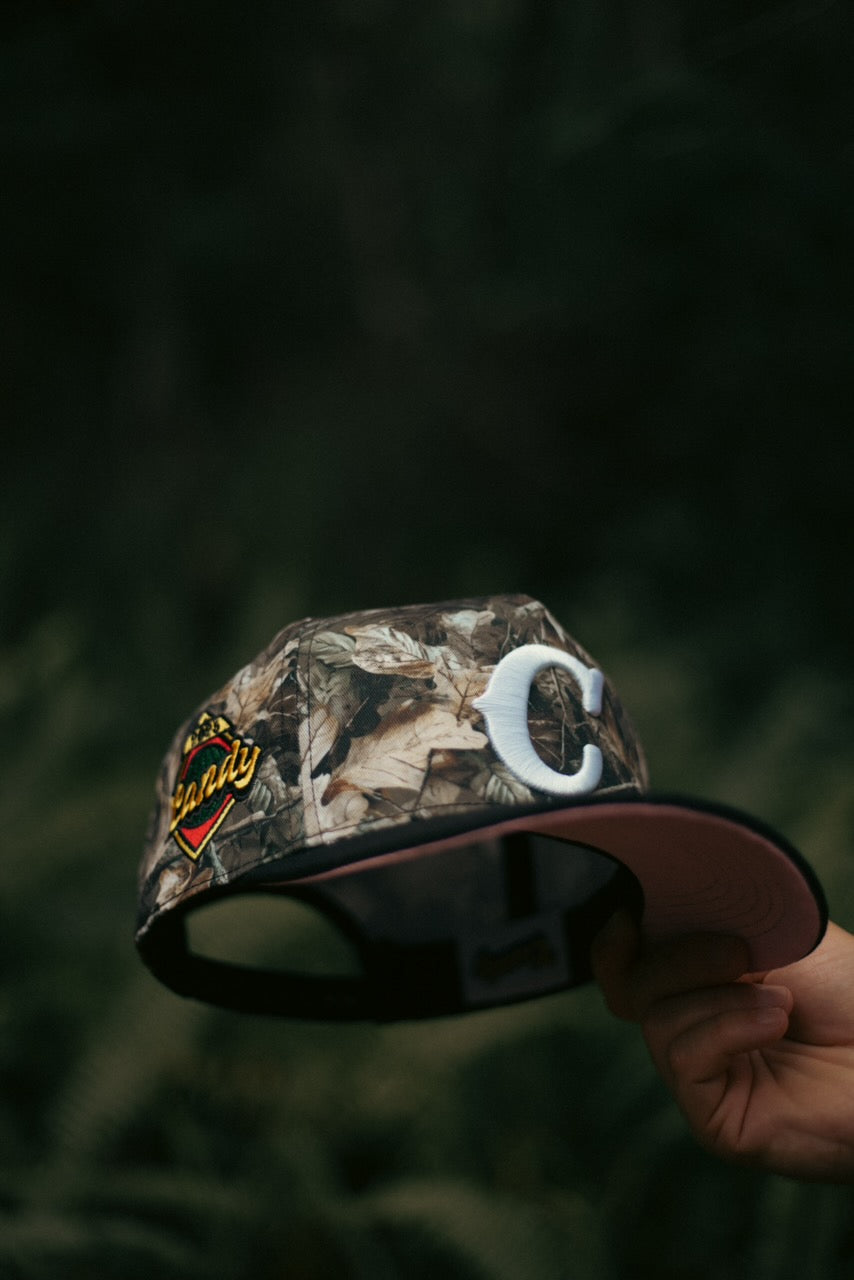“THE WOODS” Candy Ball Camo Hat